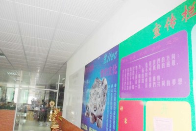 广州市增城来利电子加工厂的镜界销售策略分析